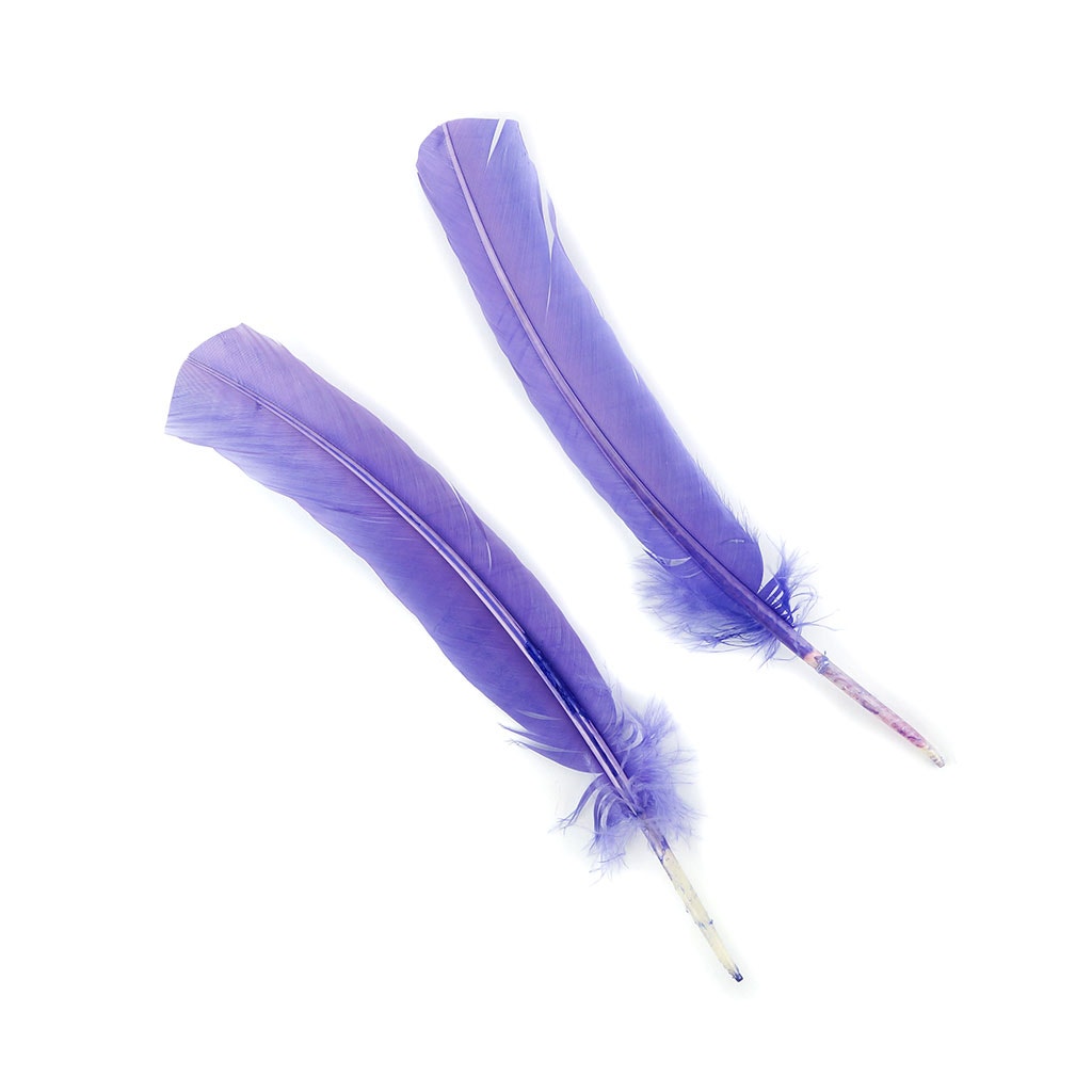 Turkey Quills Selected-Lavender
