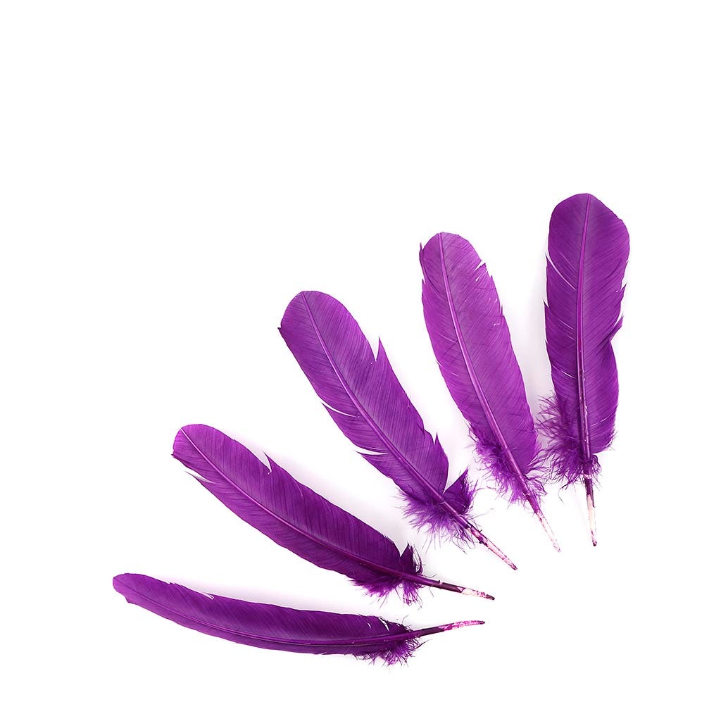 Turkey Quills Selected - Purple