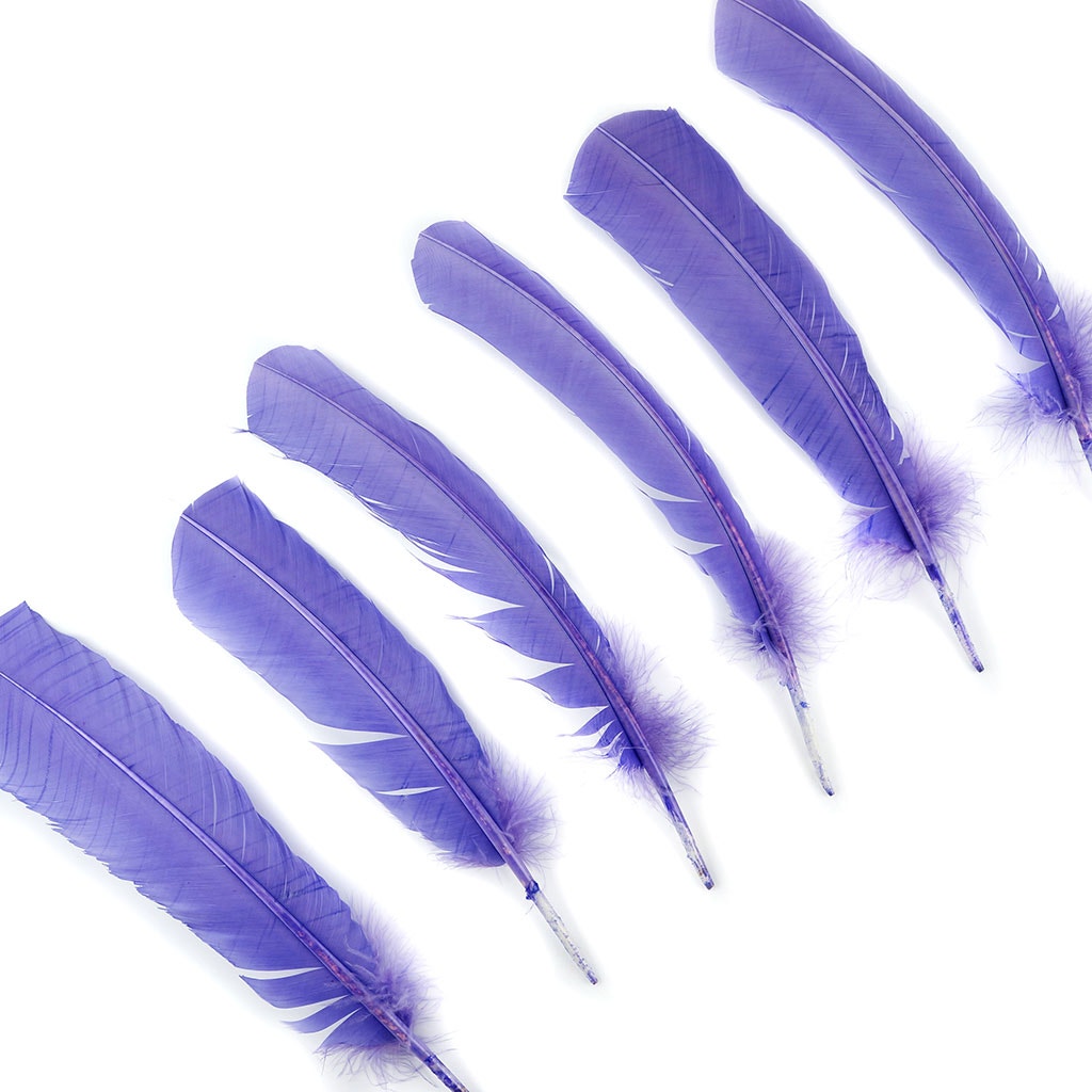 Turkey Quills by Pound - Left Wing - Lavender