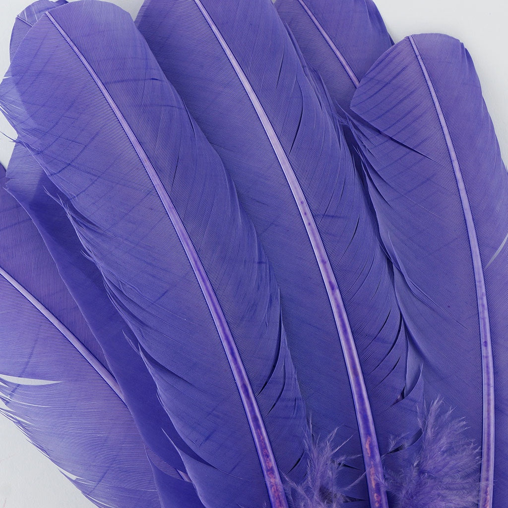 Turkey Quills by Pound - Left Wing - Lavender