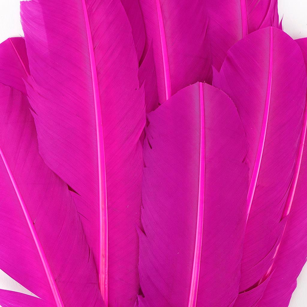 Turkey Quills by Pound - Left Wing - Very Berry