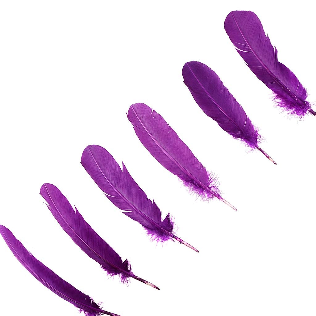 Turkey Quills by Pound - Right Wing - Purple
