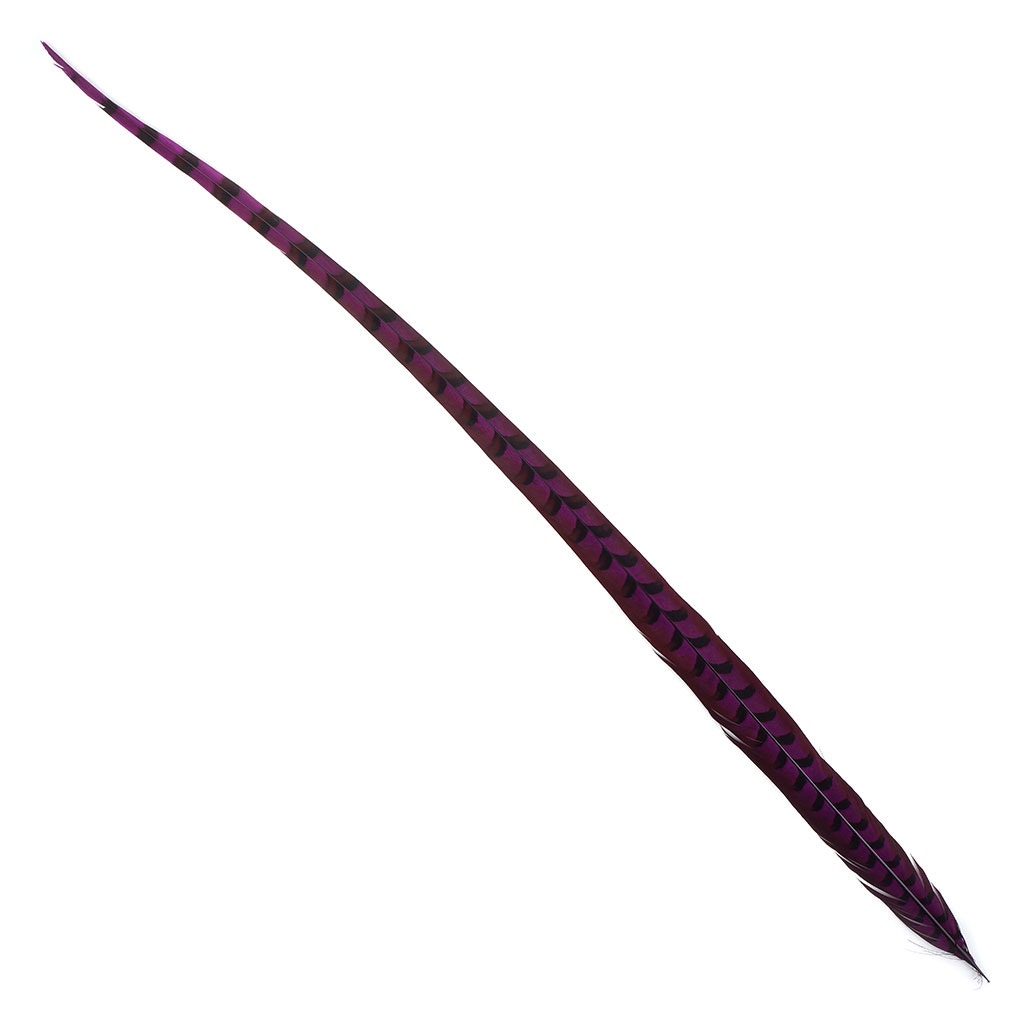 Venery Pheasant Tails - Dyed - 30 - 40" 1pc Very Berry
