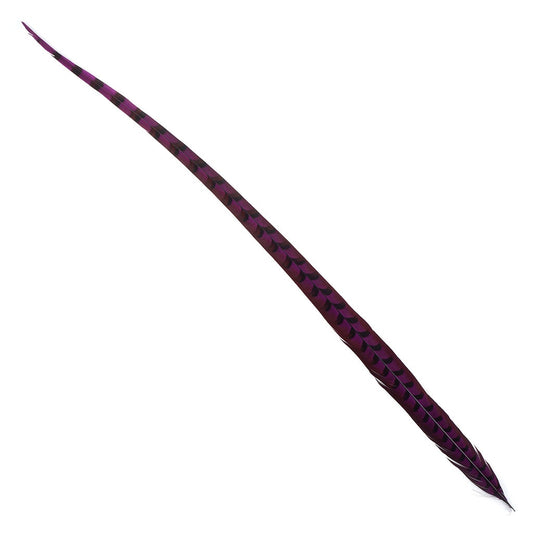 Venery Pheasant Tails - Dyed - 30 - 40" 1pc Very Berry