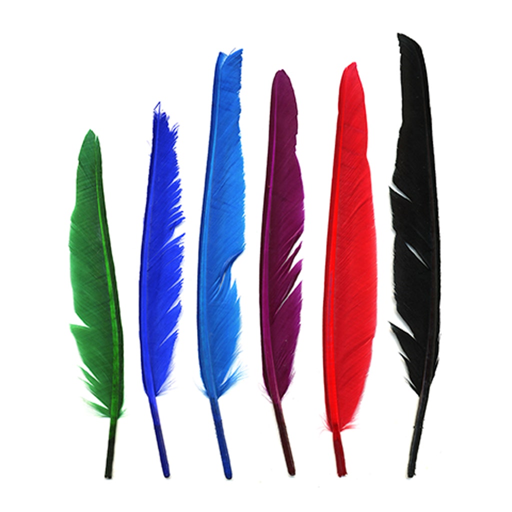Loose Duck Pointers Mix Dyed - Rainbow Mix