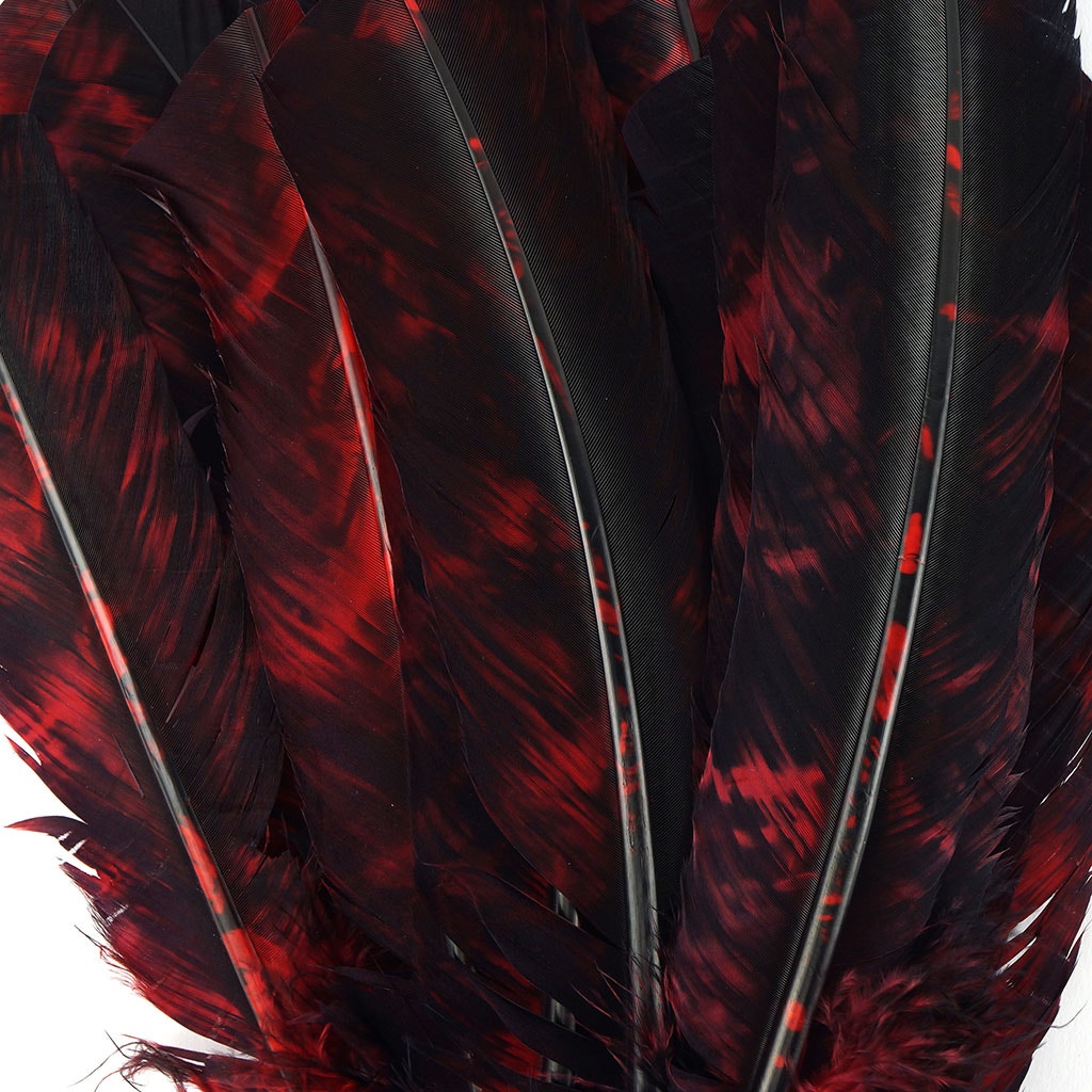 Turkey Quill - Tie Dye - Red and Black