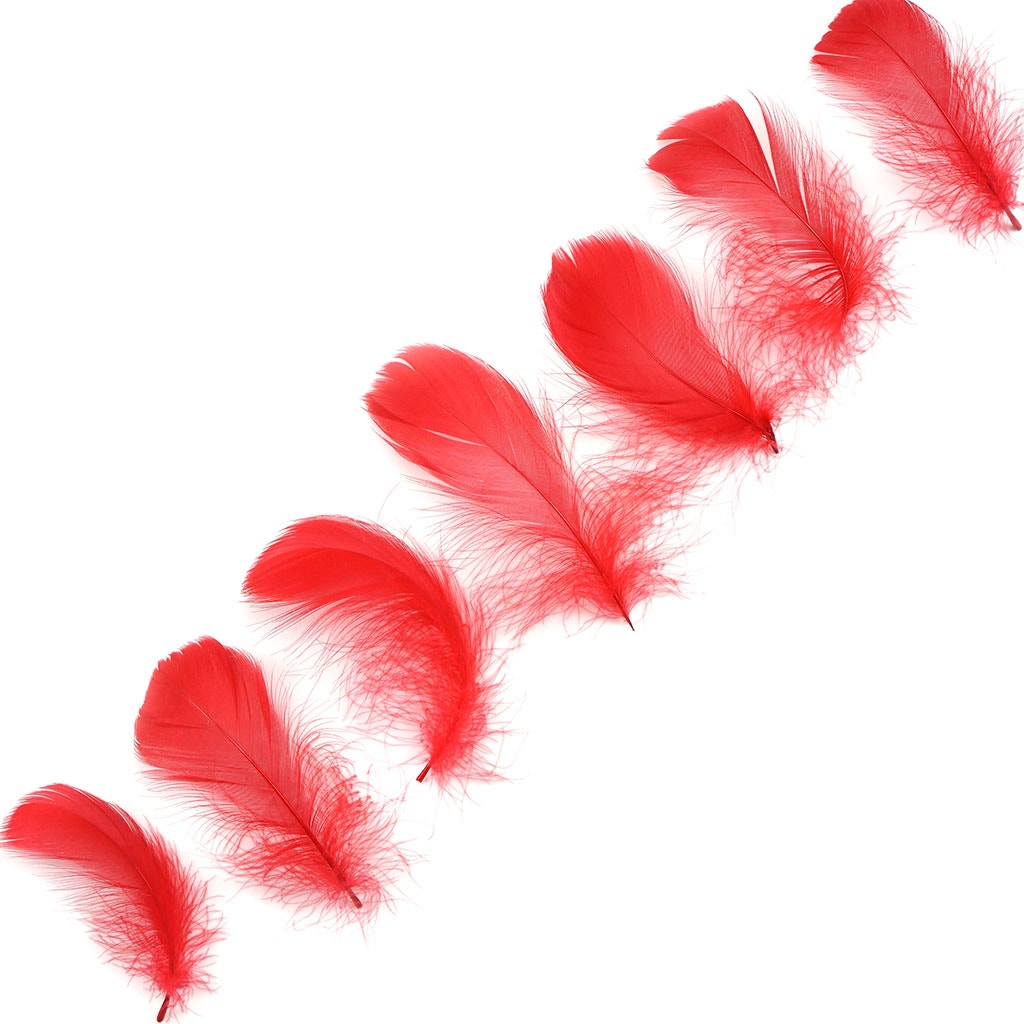 Red Loose Goose Coquille Feathers 3-5 inch