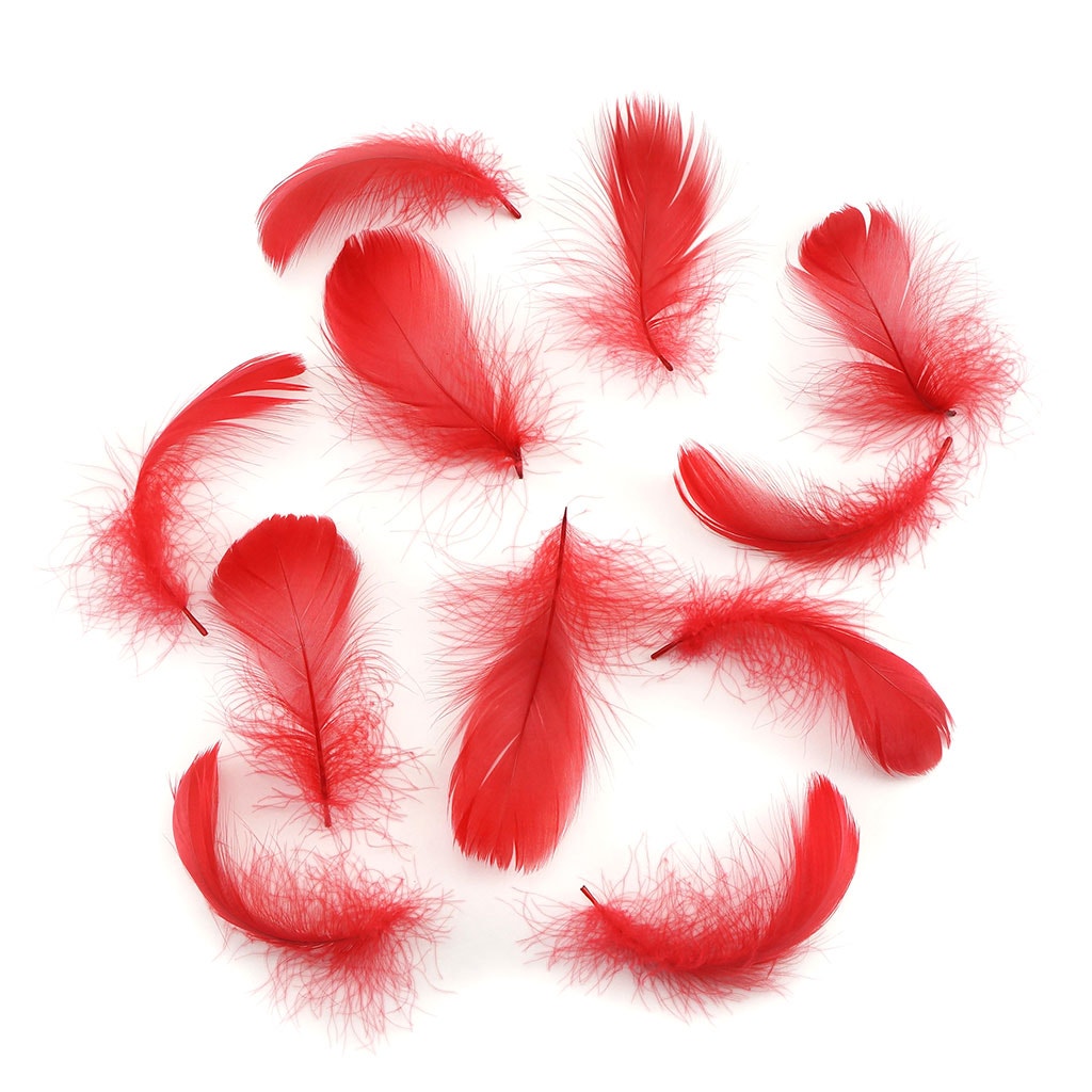 Red Loose Goose Coquille Feathers 3-5 inch