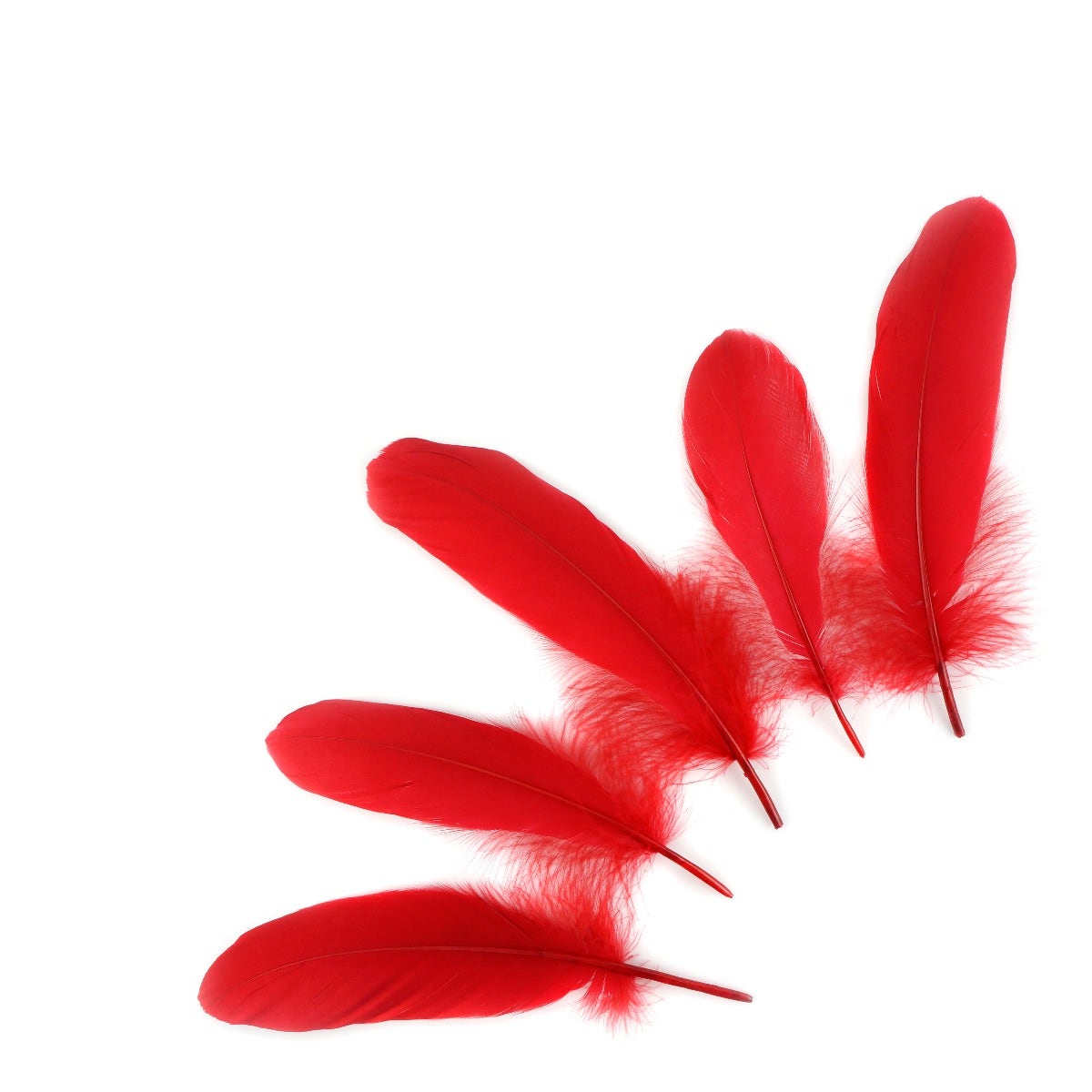 Goose Pallet Feathers 6-8" - 12 pc - Red