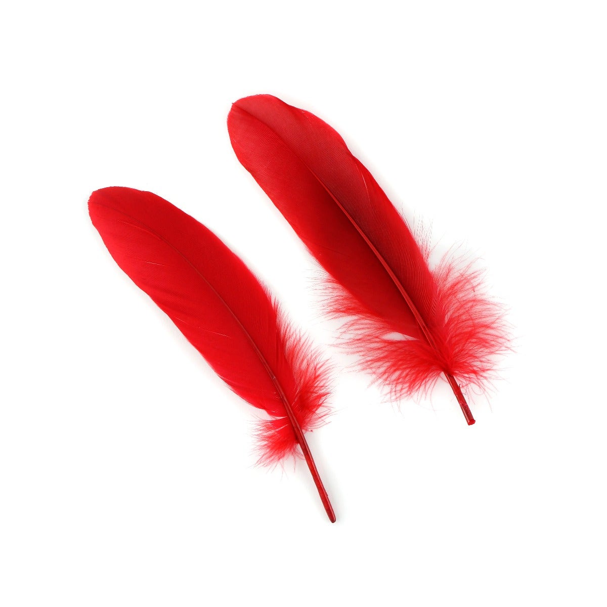Goose Pallet Feathers 6-8" - 12 pc - Red