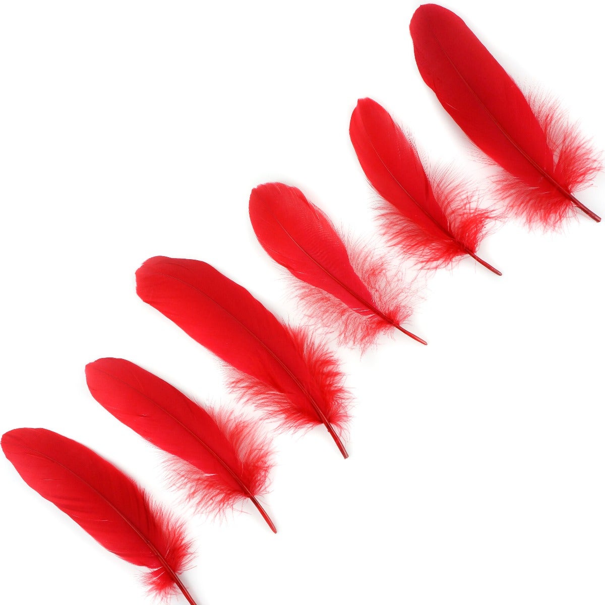 Goose Pallet Feathers 6-8" - 12 pc - Red