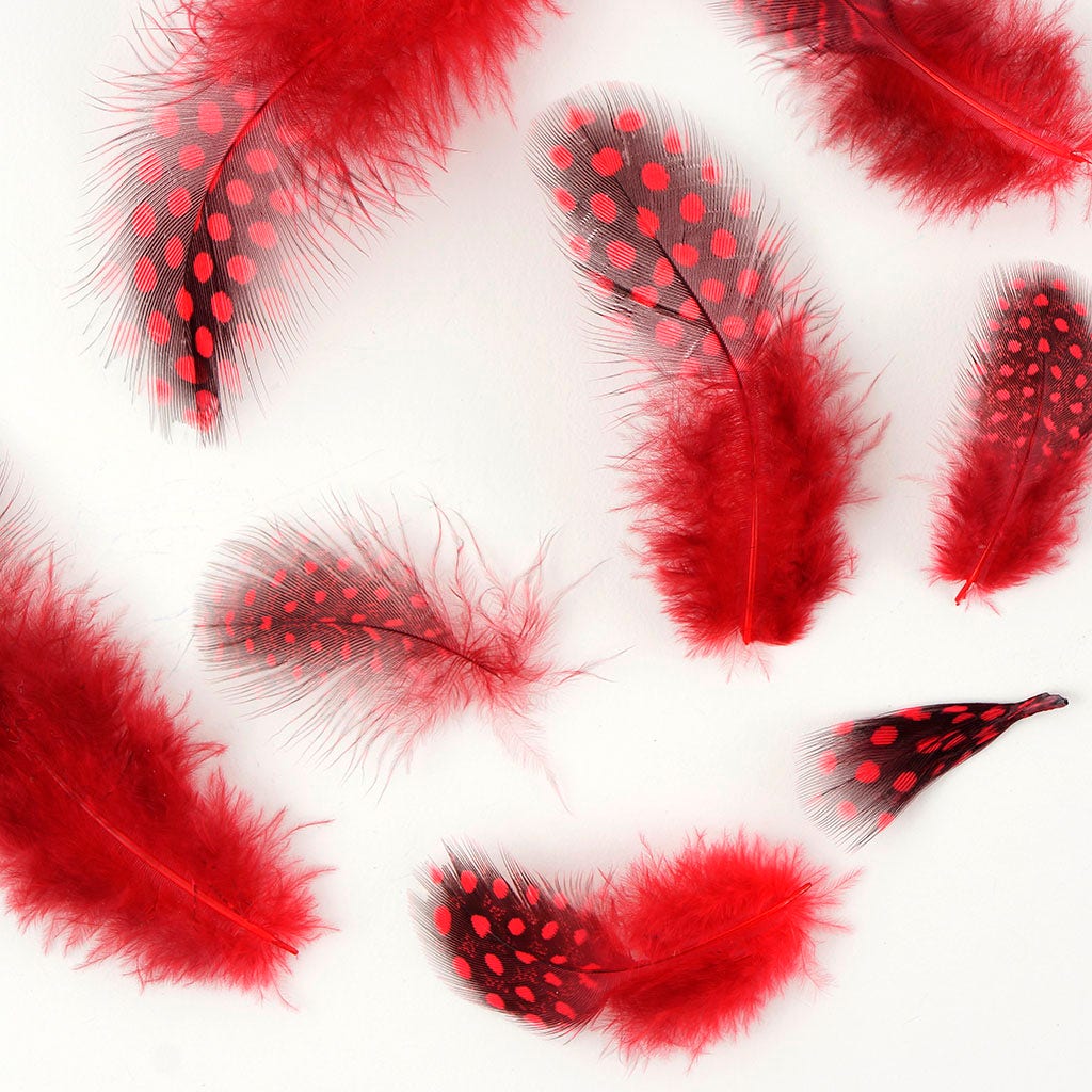 Bulk Guinea Hen Plumage - 1/4 lb - Red