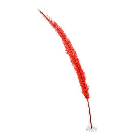Ostrich Nandu Selected Feathers 12 PCS - Red