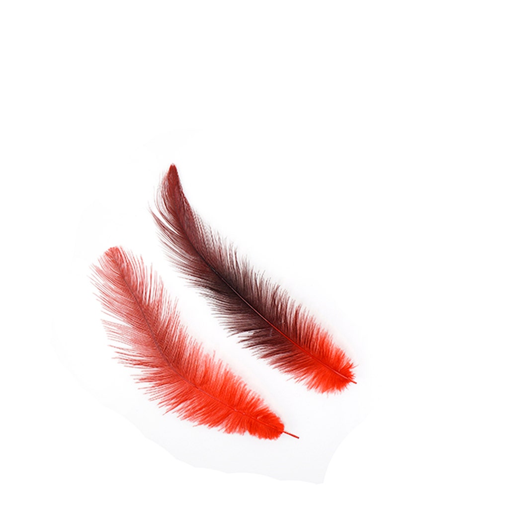 Rhea Tail Feathers Selected - Red