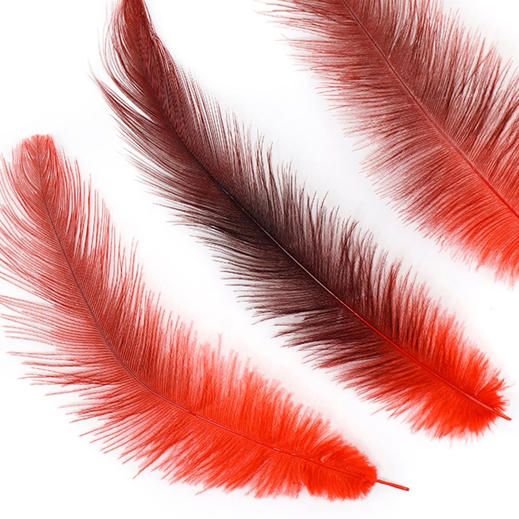Rhea Tail Feathers Selected - Red