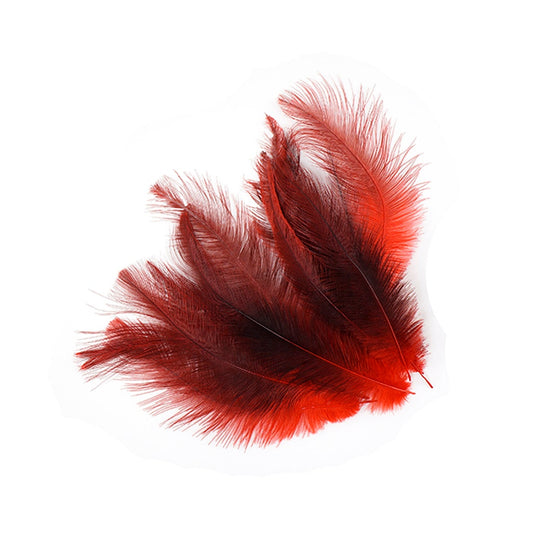 Rhea Tail Feathers Selected - Red