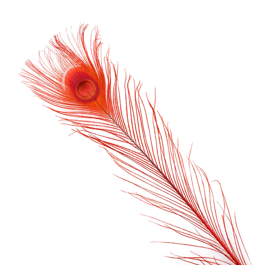 Peacock Tail Eyes Bleached Dyed - Red