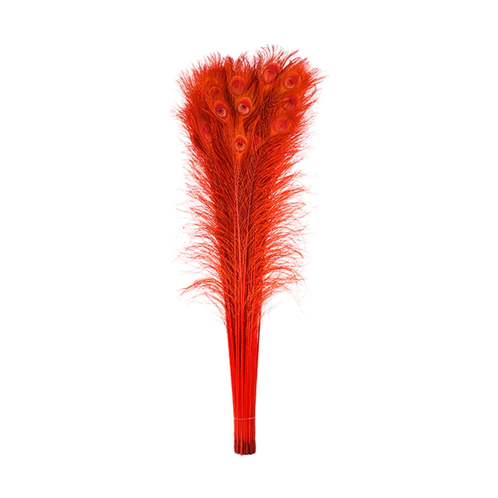 Peacock Tail Eyes Bleached Dyed - Red