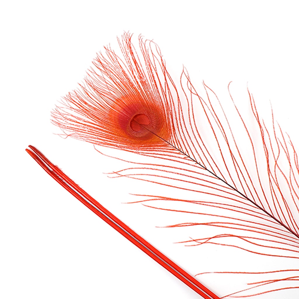 Peacock Eyes Bleached/Dyed - Red 30-40" - 10 PC