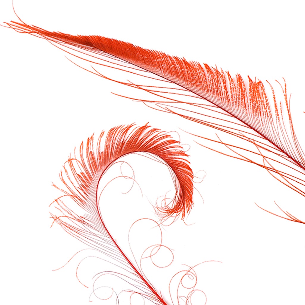 Peacock Swords Bleach Dyed - Red