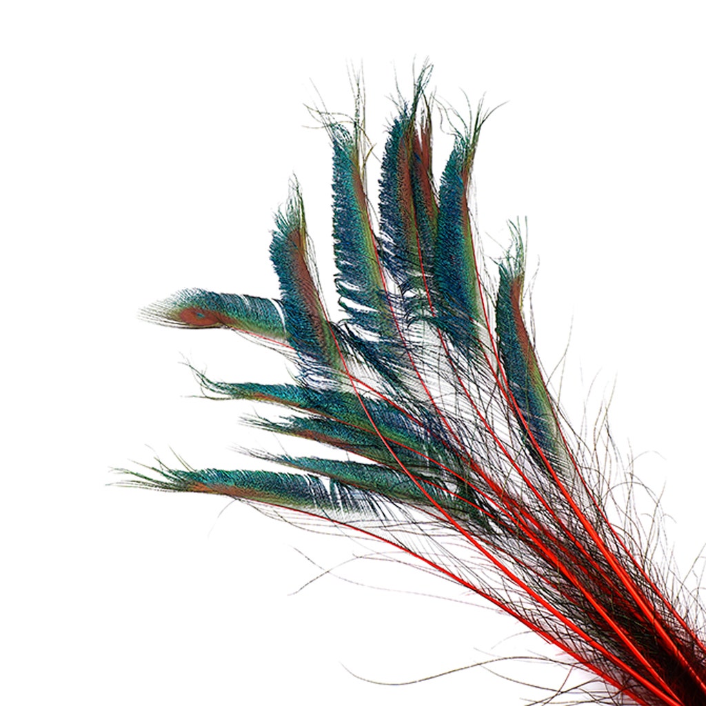 Peacock Swords Stem Dyed - Red