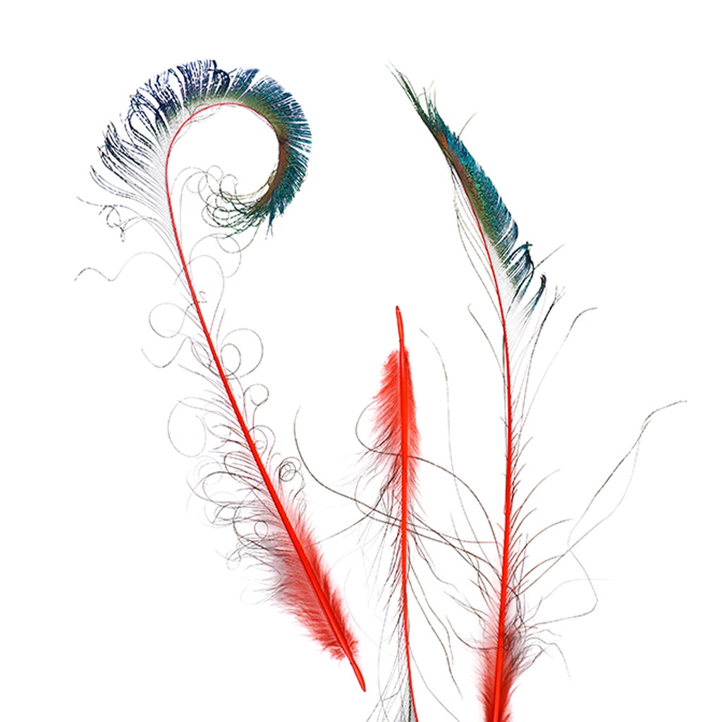 Peacock Swords Stem Dyed - Red