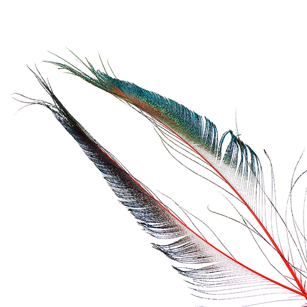 Peacock Swords Stem Dyed - Red