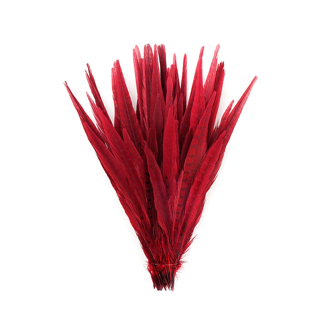 Assorted Pheasant Tails Dyed - Red