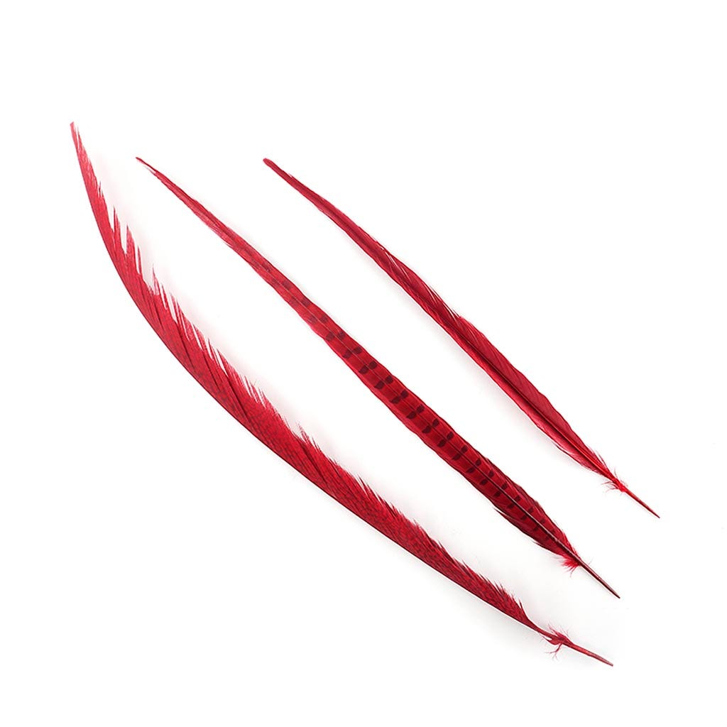 Assorted Pheasant Tails Dyed - Red