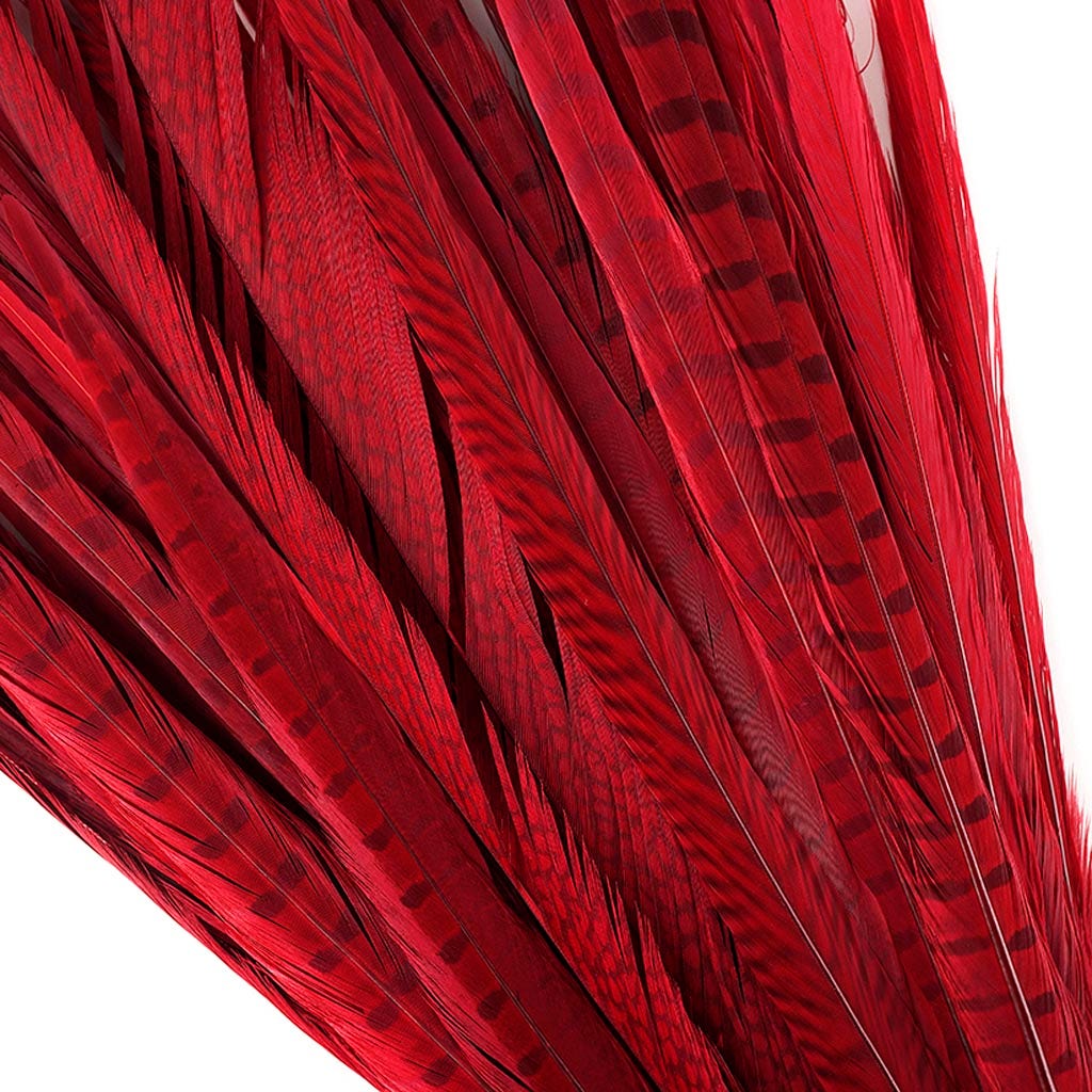 Assorted Pheasant Tails Dyed - Red
