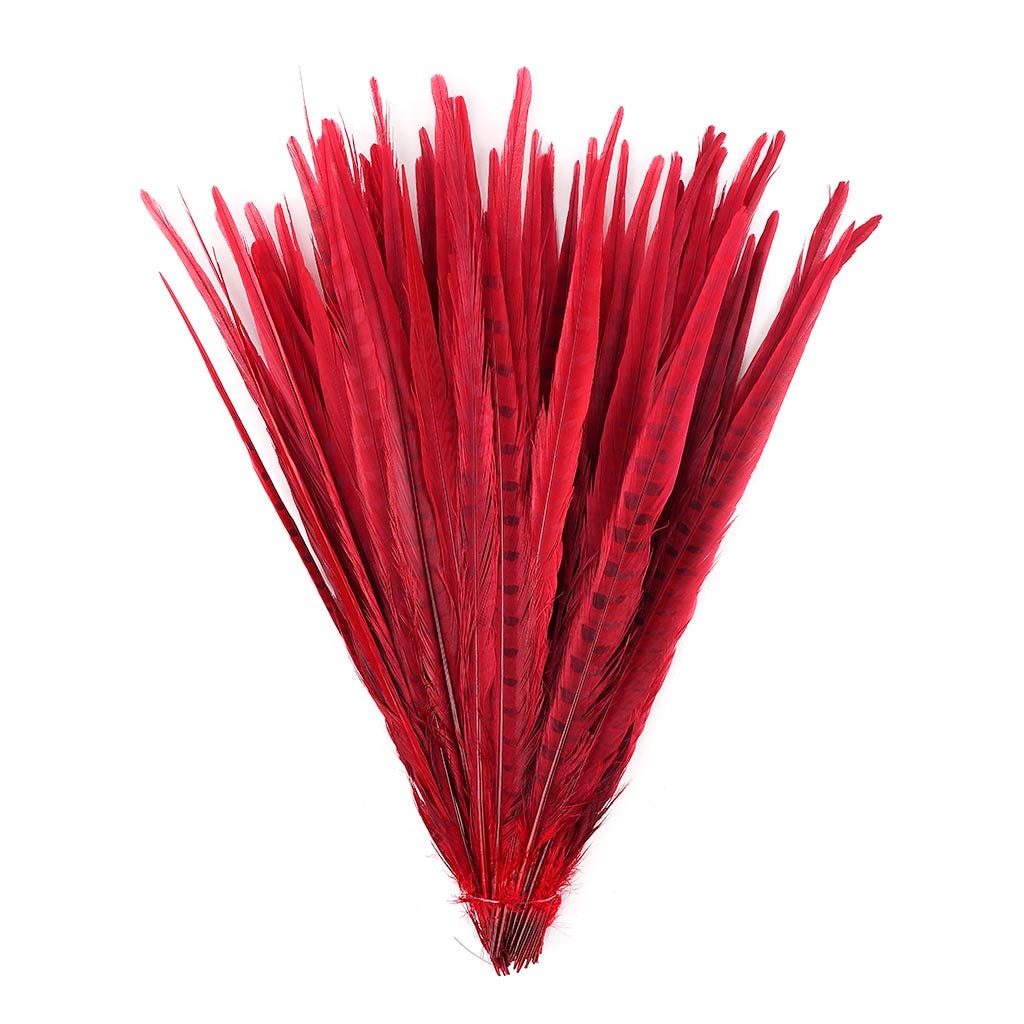 Assorted Pheasant Tails Dyed - Red