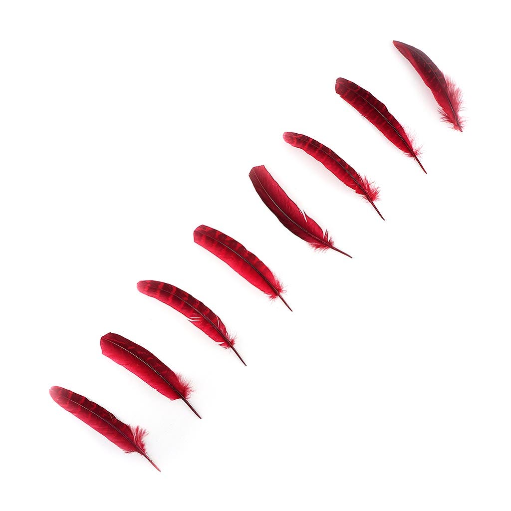 Pheasant Tail Feathers Dyed - Tango Red