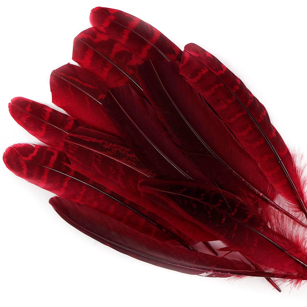 Pheasant Tail Feathers Dyed - Tango Red