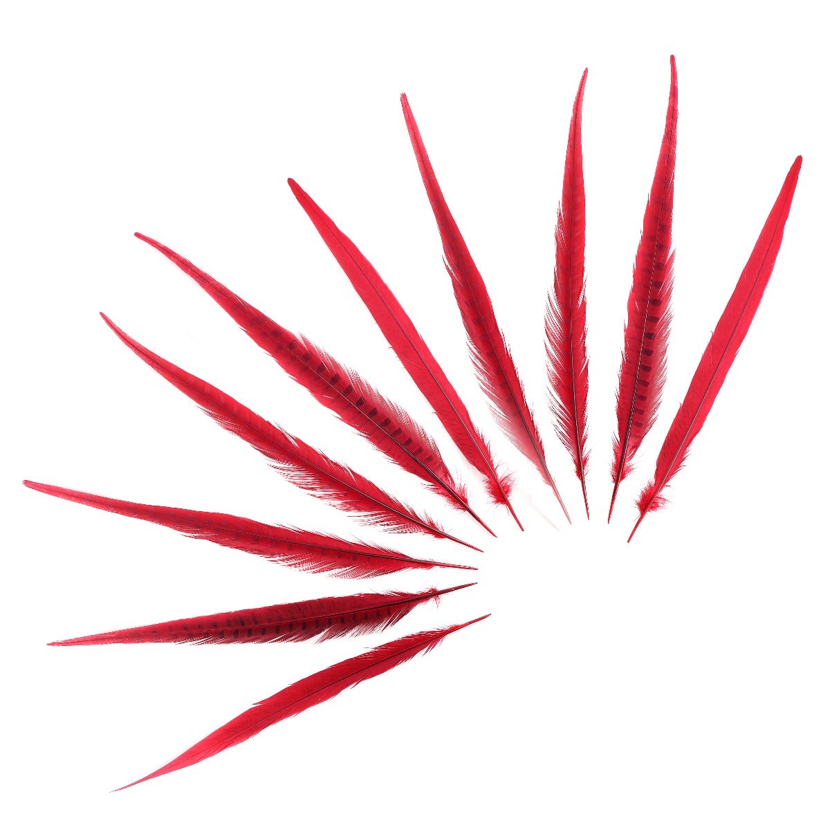 Pheasant Tails Assorted Bleached - Red