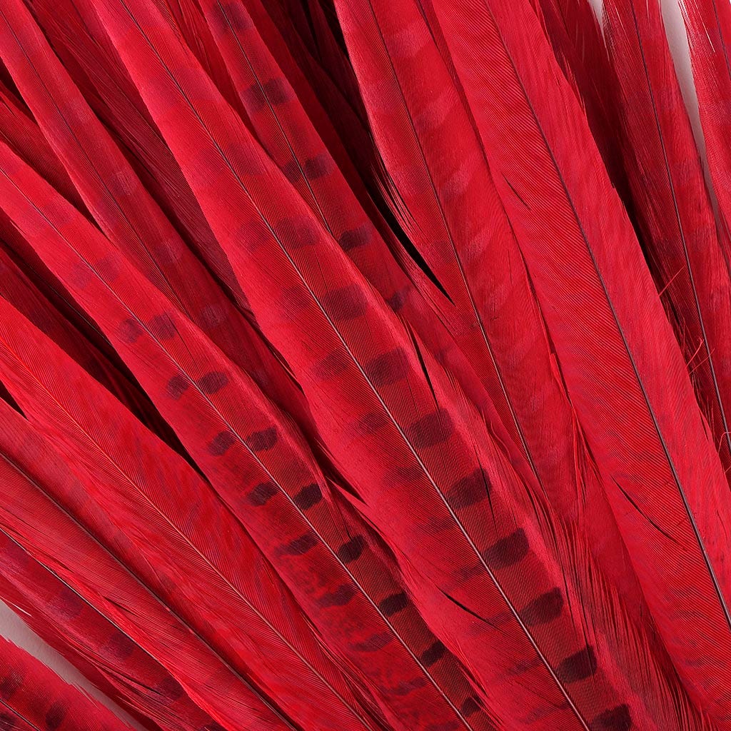 Pheasant Tails Assorted Bleached - Red