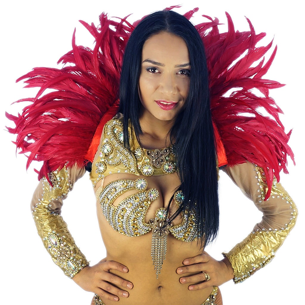 Carnival Feather Collar - Red