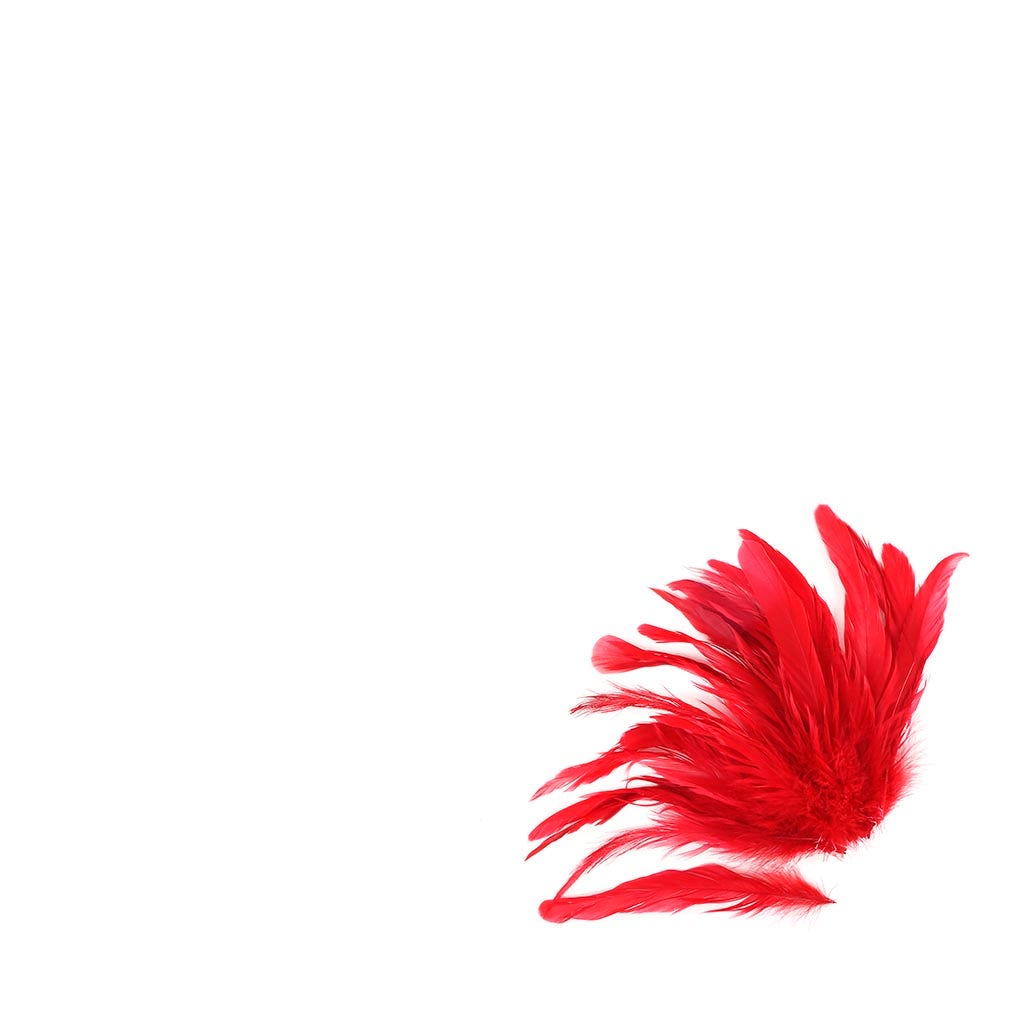 Rooster Coque Tails White-Dyed - Red