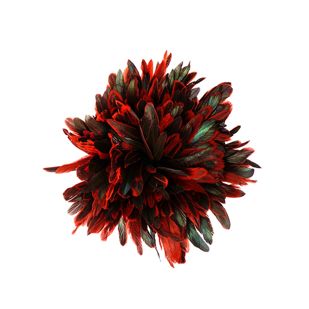Rooster Coque Tails-Dyed - Red