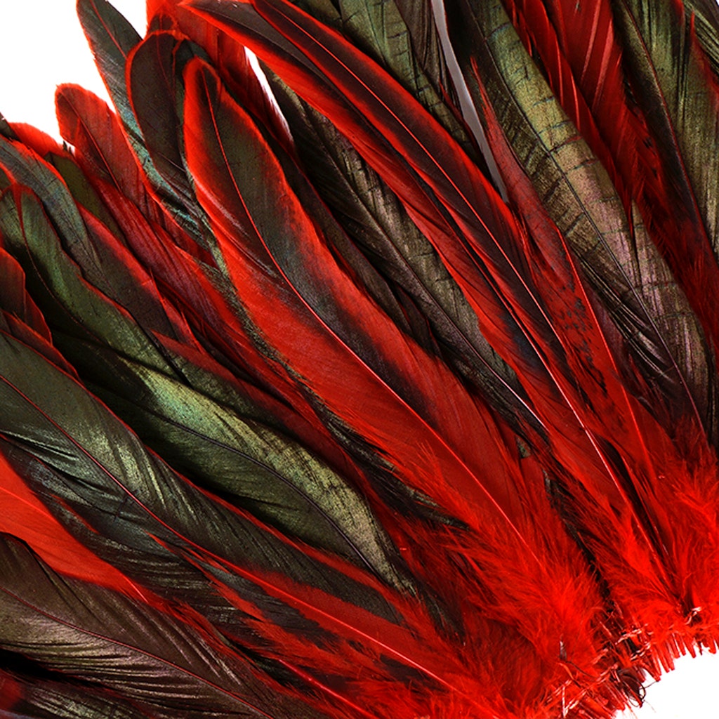 Rooster Coque Tails-Dyed - Red