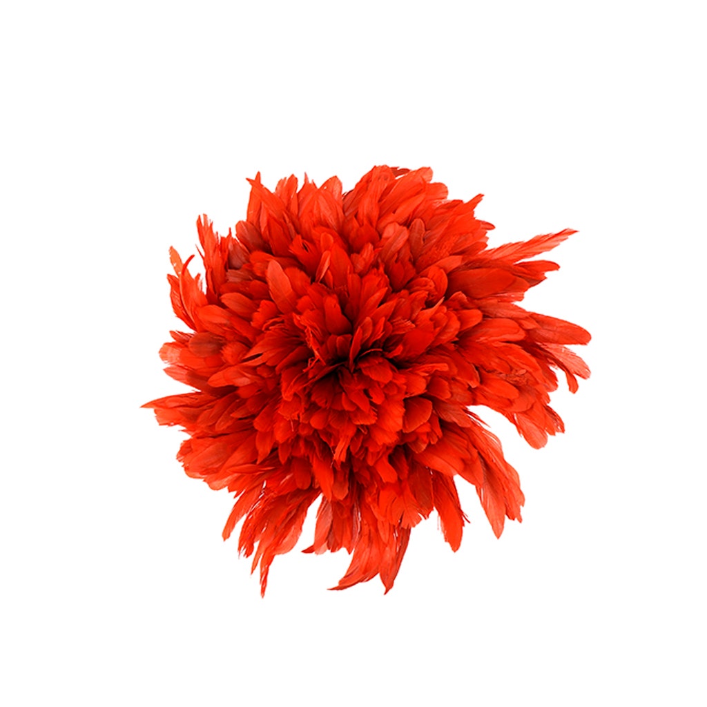 Rooster Coque Tail Feathers Bleach and Dyed - Red