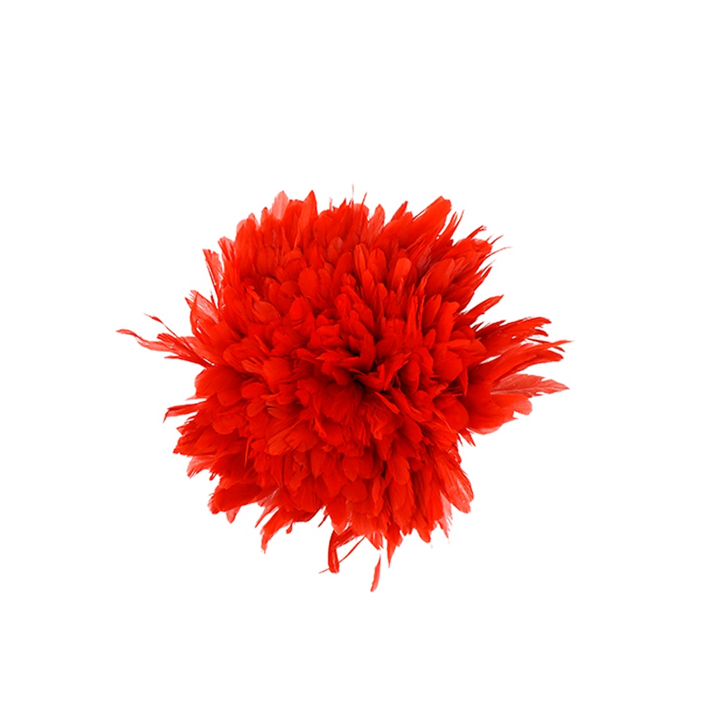 Rooster Coque Tails White-Dyed - Red