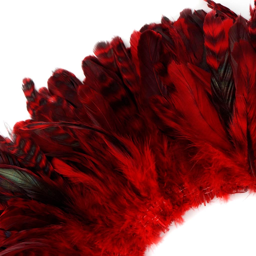 Rooster Coque Tails-Chinchilla 1YD Hot Red