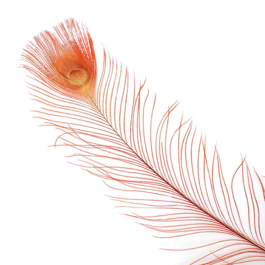 Peacock Tail Eyes Sprayed - Red/Gold - 30 - 40"