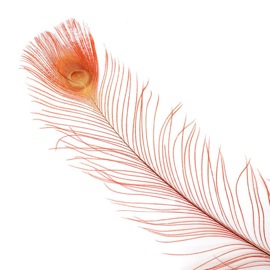 Peacock Tail Eyes Sprayed - Red/Gold - 30 - 40"