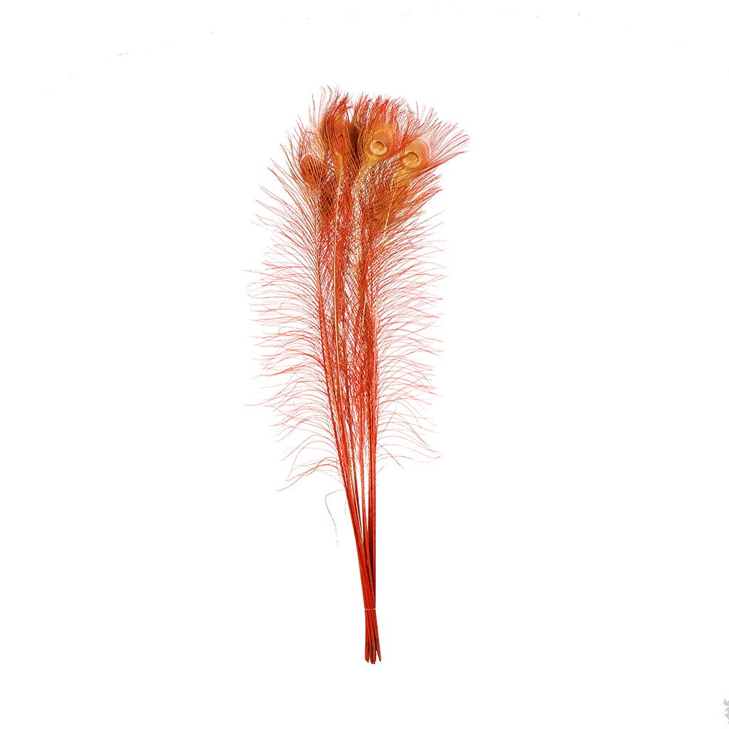 Peacock Tail Eyes Sprayed - Red/Gold - 30 - 40"