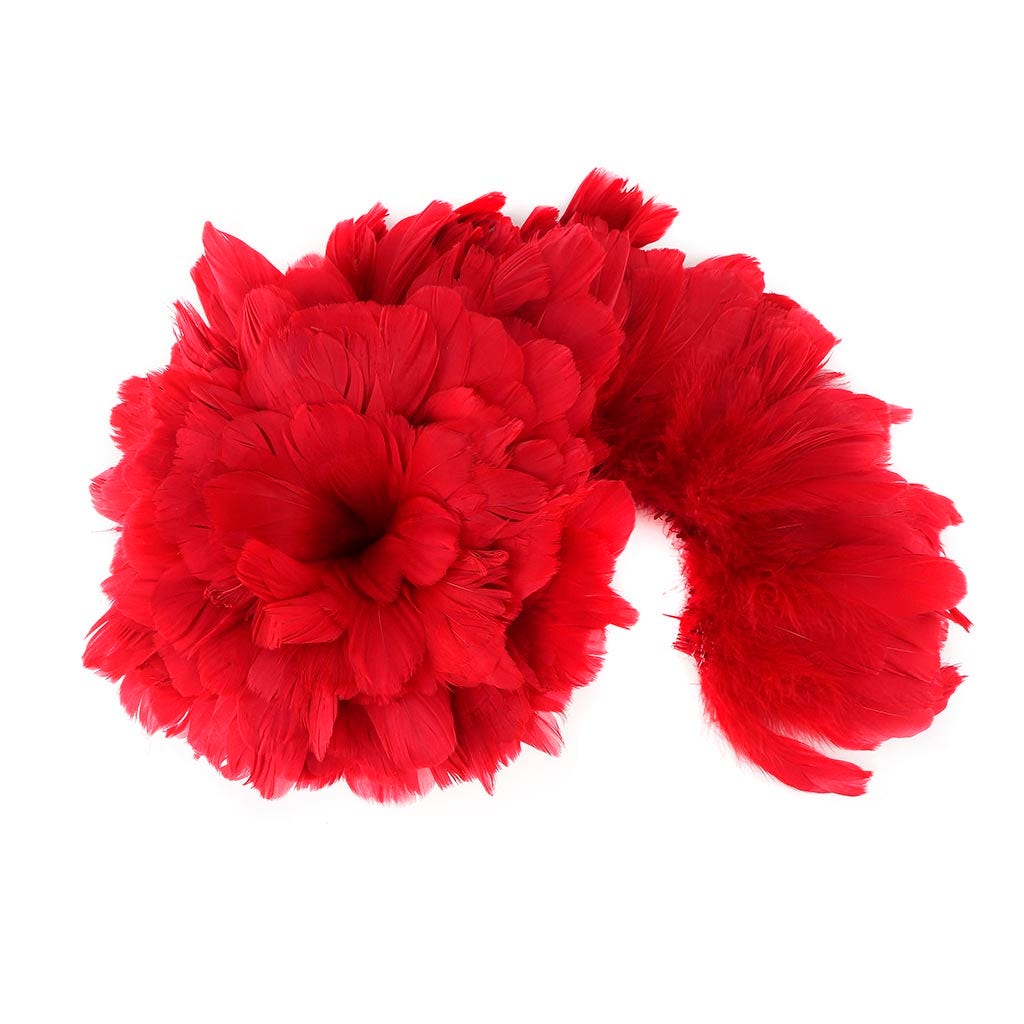 Goose Nagorie Feathers Dyed - Red