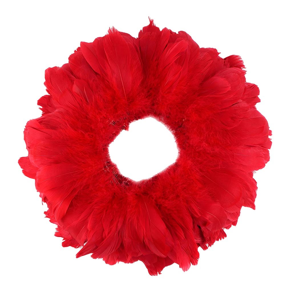 Goose Nagorie Feathers Dyed - Red
