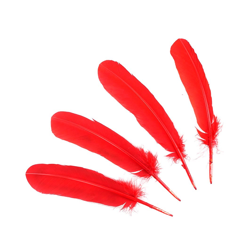 Turkey Quills Dyed - Red