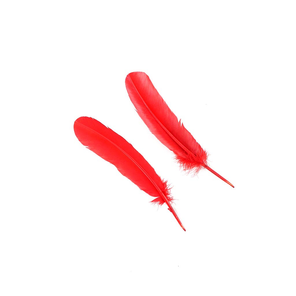 Turkey Quills Dyed - Red
