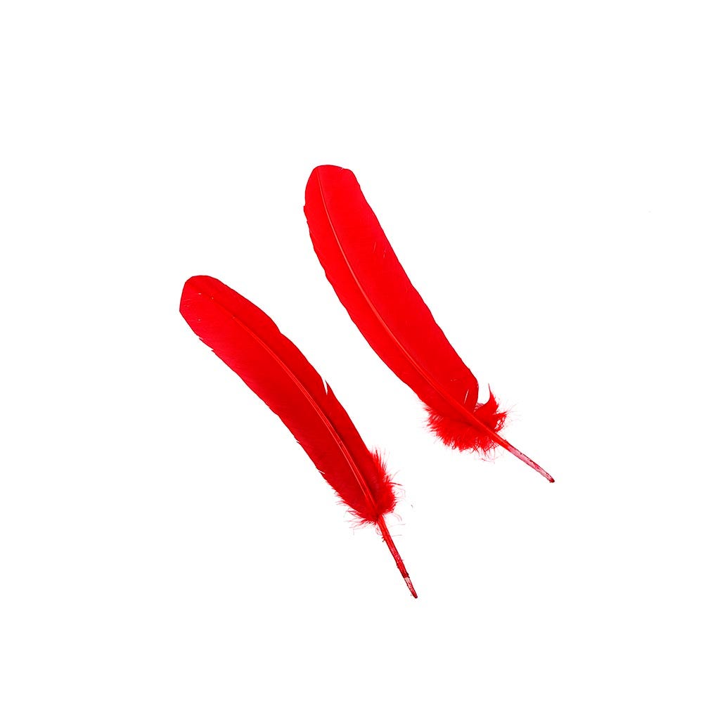 Turkey Quills Selected - Red